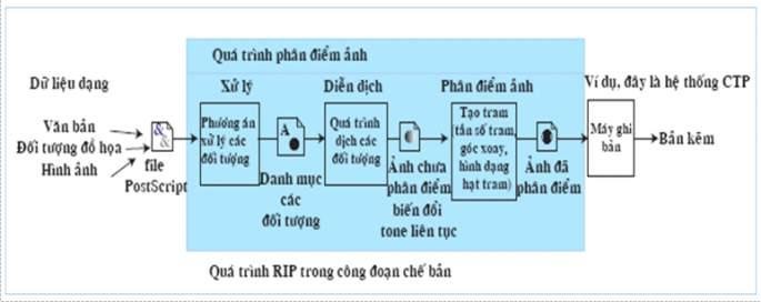 RIP HOẠT ĐỘNG NHƯ THẾ NÀO?