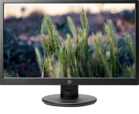 Màn hình HP V214b 20.7 inch (3FU54AA)