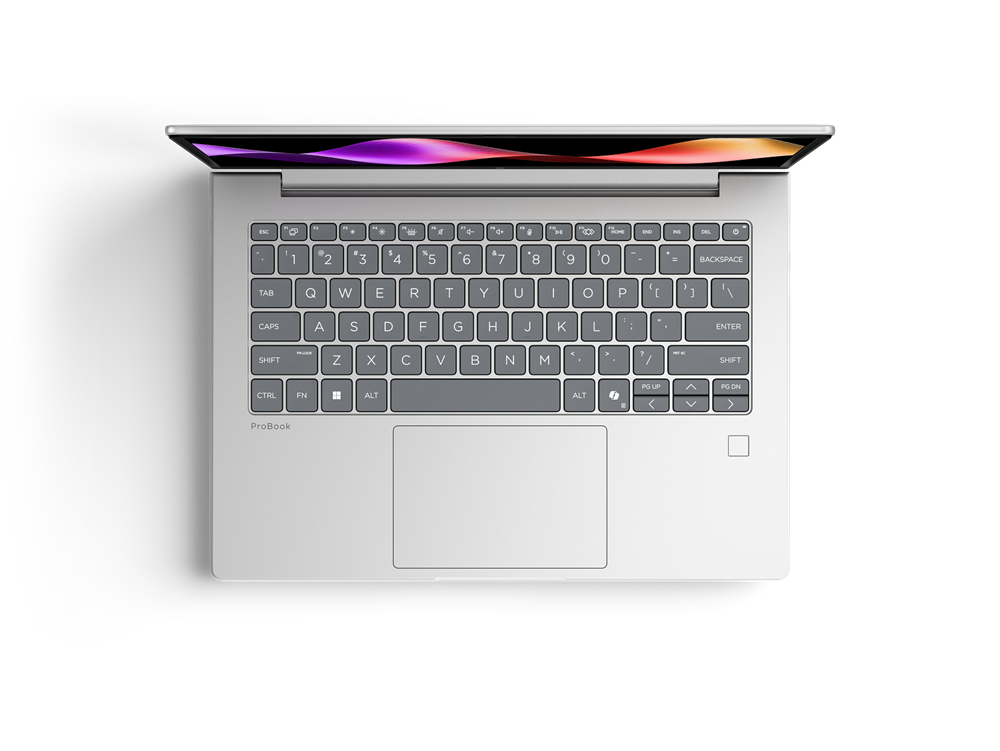 HP ProBook 4 G2i 14 inch Notebook AI PC (DK2W4AT)