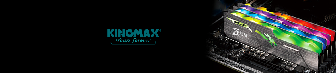 Banner Kingmax